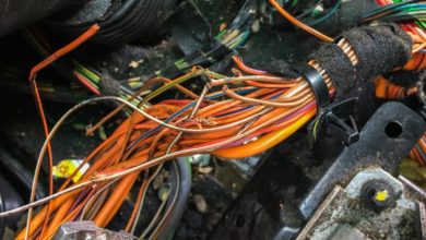 Photo of Panne automobile: Quand les rongeurs s’attaquent à votre voiture !