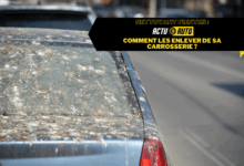 Nettoyant fientes Comment les enlever de sa carrosserie.