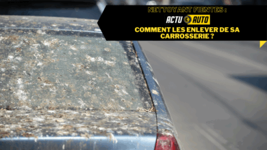 Nettoyant fientes Comment les enlever de sa carrosserie.