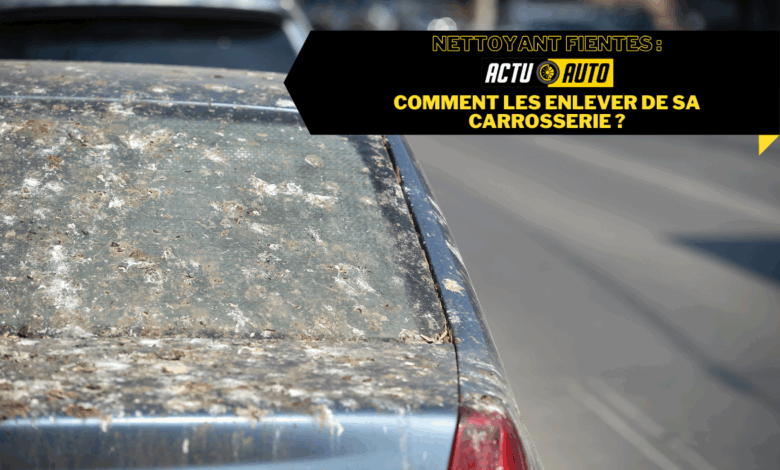 Nettoyant fientes Comment les enlever de sa carrosserie.