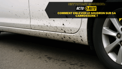Nettoyant goudron comment enlever le goudron sur sa carrosserie