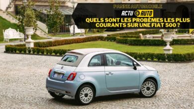 quels sont les problèmes les plus courants sur une Fiat 500