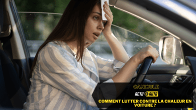 Canicule : comment lutter contre la chaleur en voiture ? | Actuauto.fr